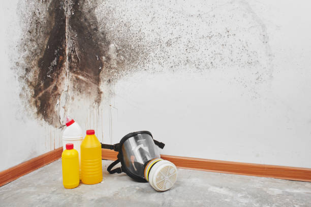 Best HVAC Mold Remediation in Coarsegold, CA