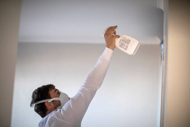 Best Post-Flood Mold Remediation in Coarsegold, CA