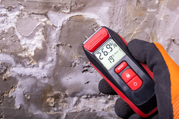 Best Emergency Mold Remediation in Coarsegold, CA