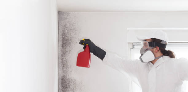 Best Residential Mold Remediation in Coarsegold, CA