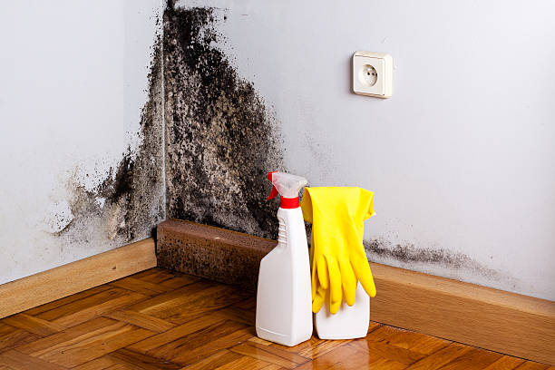 Best Crawl Space Mold Remediation in Coarsegold, CA